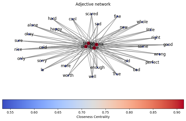 network adjective